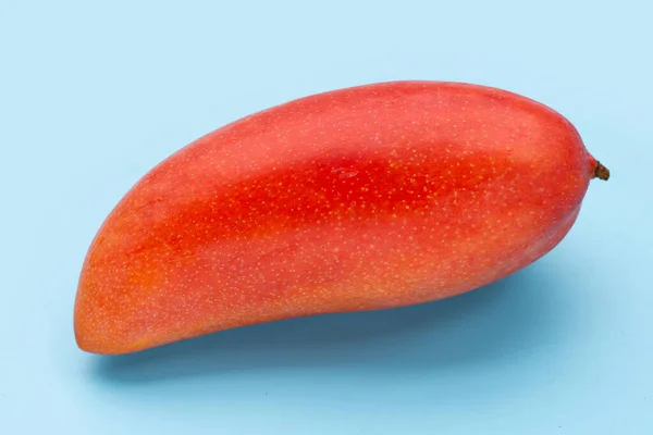 Mangó Gyümölcs Kék Alapon — Stock Fotó