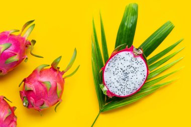 Olgun ejderha meyvesi ya da tropik palmiye yaprakları üzerinde pitahaya. Üst görünüm