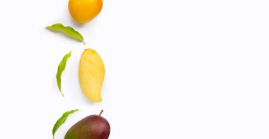 Beyaz arka planda yaprakları olan mango. Boşluğu kopyala
