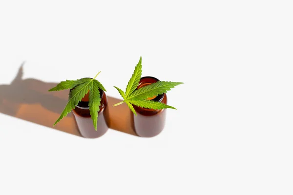 Cannabisblätter Mit Ätherischem — Stockfoto