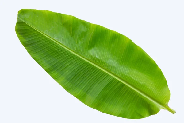 Bananenblatt Auf Weißem Hintergrund — Stockfoto