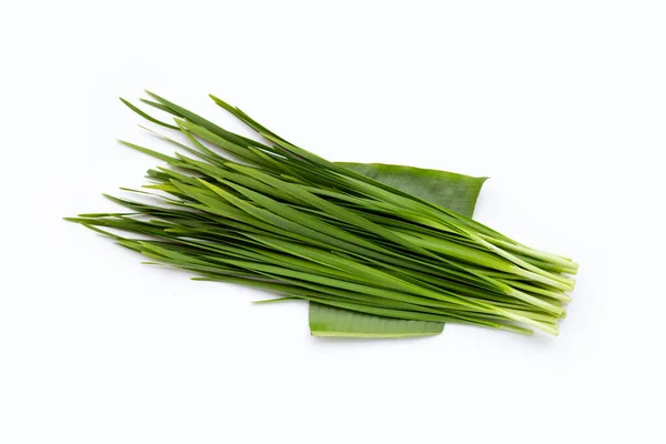 Fresh Chinese Chive Leaves White Background — Stock Photo, Image