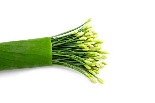 Fresh Chinese Chive Flower White Background — 图库照片