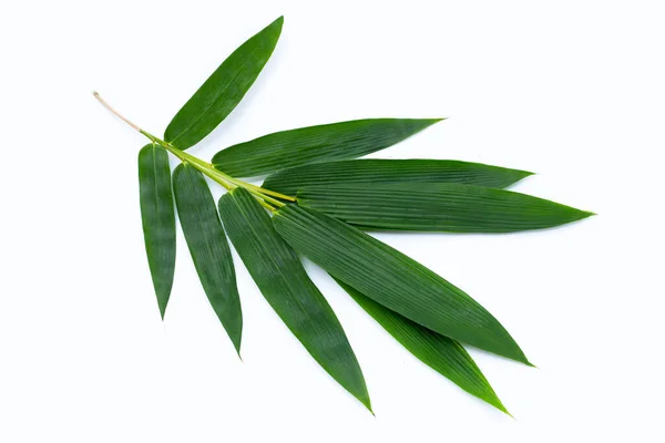 Bamboo Leaves White Background — Stock Photo, Image