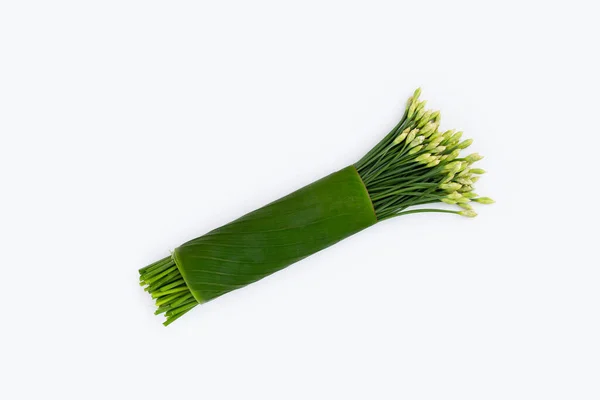 Fresh Chinese Chive Flower White Background — Stockfoto