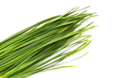 Beyaz arkaplanda taze Çin Chive yaprakları.