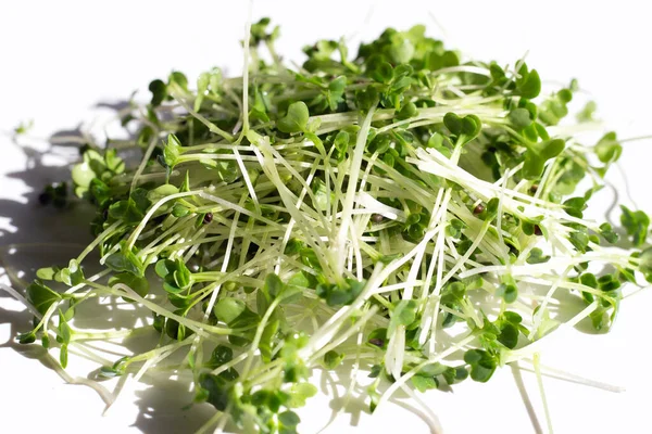 Organic Kale Sprouts White Background — ストック写真