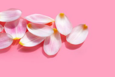 Pembe arka planda lale yaprakları.