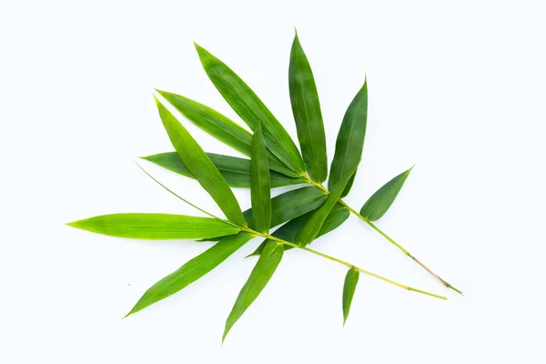 Bamboo Leaf Fresh Green Leaves White Background — Stock Photo, Image