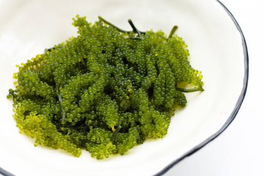 Geniş arkaplan üzerinde deniz üzümü yosunu.