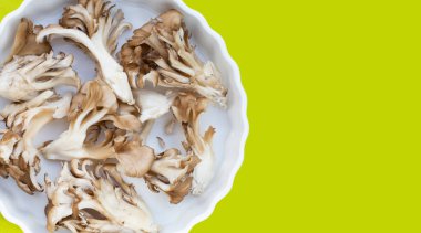 Yeşil arkaplanda Maitake (Grifola frondose) mantarı