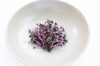 Beyaz arka planda organik kırmızı lahana filizleri.