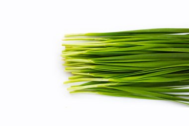 Beyaz arkaplanda taze Çin Chive yaprakları.