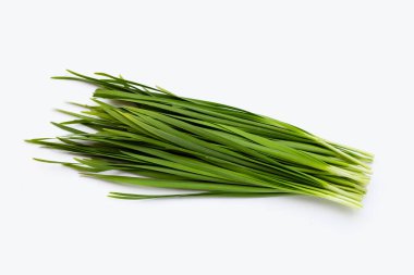 Beyaz arkaplanda taze Çin Chive yaprakları.