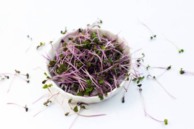 Beyaz arka planda organik kırmızı lahana filizleri.