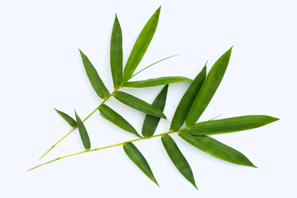 Bamboo Leaf Fresh Green Leaves White Background — Stock Photo, Image