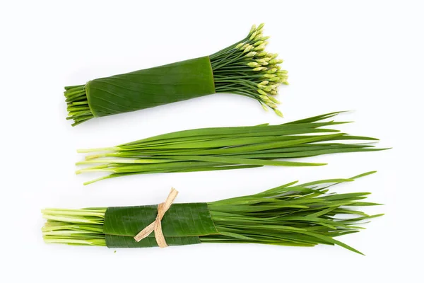 Fresh Chinese Chive Leaves Flower White Background — стокове фото