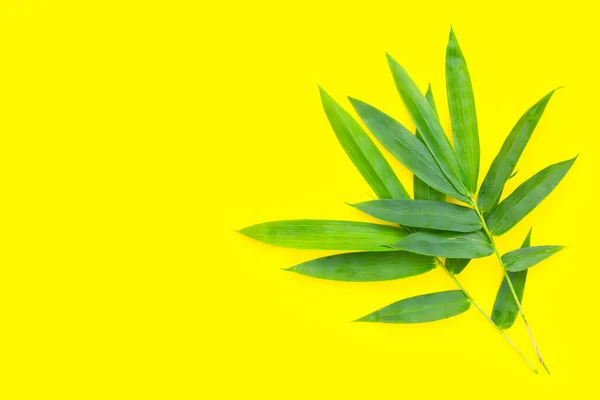 Bamboo Leaf Fresh Green Leaves Yellow Background — Foto de Stock
