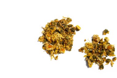 Dried chrysanthemum flower on white background.
