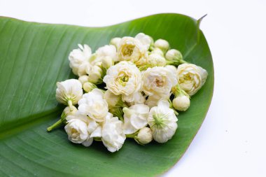 Muz yaprağında yasemin çiçeği