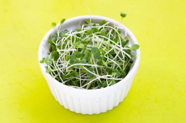 Organic kale sprouts. Healthiest vegetables concept