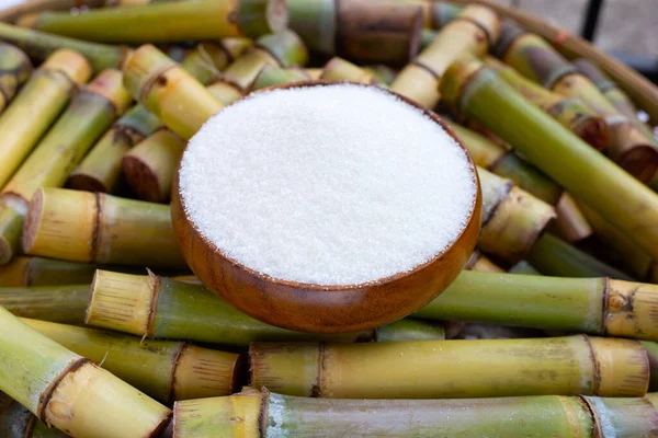 Sugar Cut Sugar Cane — Stockfoto