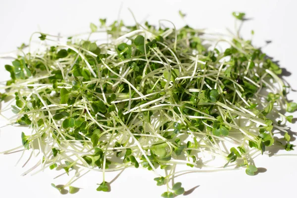 Organic Kale Sprouts White Background — Stok fotoğraf