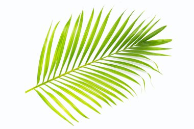 Crispy banana sticks. Fruit snack