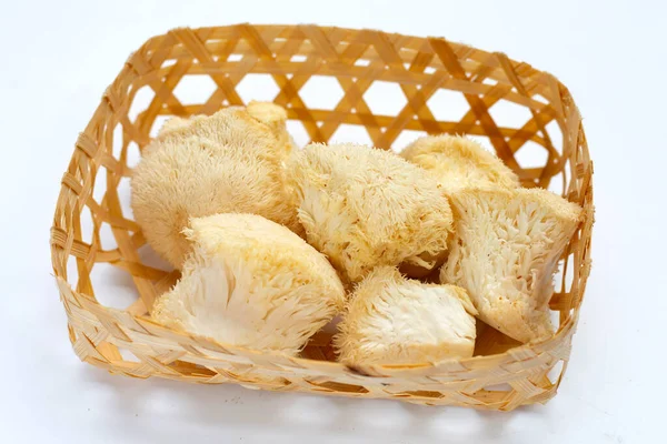 Fresh Rare Lion Mane Mushroom — Foto de Stock