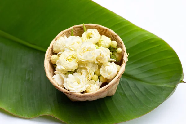 Jasmine Flower Banana Leaf — Stock Photo, Image