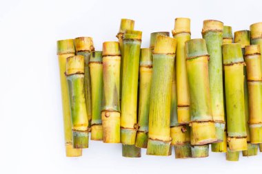 Şeker kamışını dikmek için kes