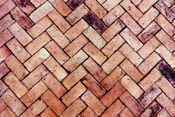 Outdoor Brick Tiles Garden Pavement — Stock Photo, Image