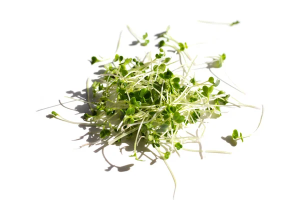 Organic Kale Sprouts White Background — Stock Fotó