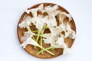 Beyaz arka planda beyaz dolichandrone serrulata çiçeği. Üst görünüm