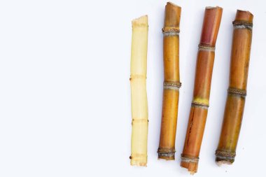 Beyaz zemin üzerine şeker kamışı.