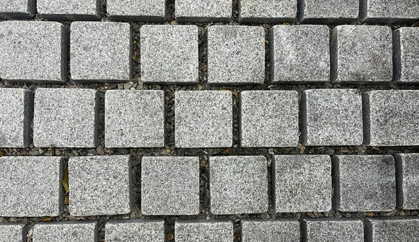 Outdoor Stone Tiles Garden Pavement — Stockfoto