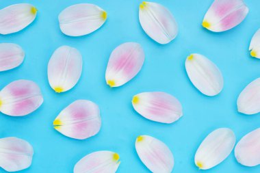 Mavi arka planda lale yaprakları.