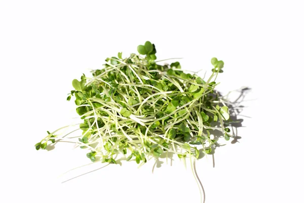 Organic Kale Sprouts Healthiest Vegetables Concept — Stockfoto