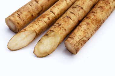 Beyaz arkaplanda Burdock Kökü (Gobo).