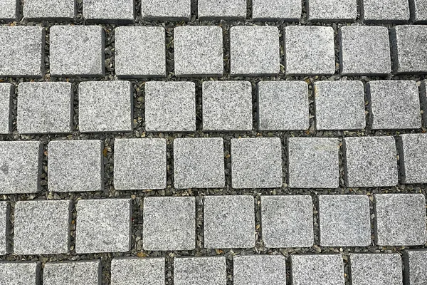 Outdoor Stone Tiles Garden Pavement — Stock fotografie