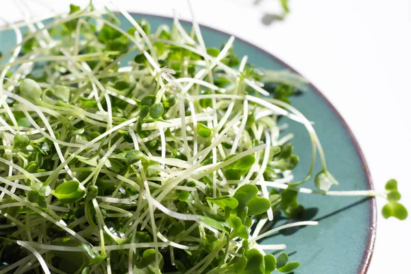 Organic Kale Sprouts Healthiest Vegetables Concept — Stock Fotó