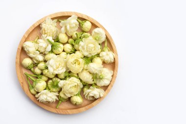 Beyaz arka planda yasemin çiçeği.