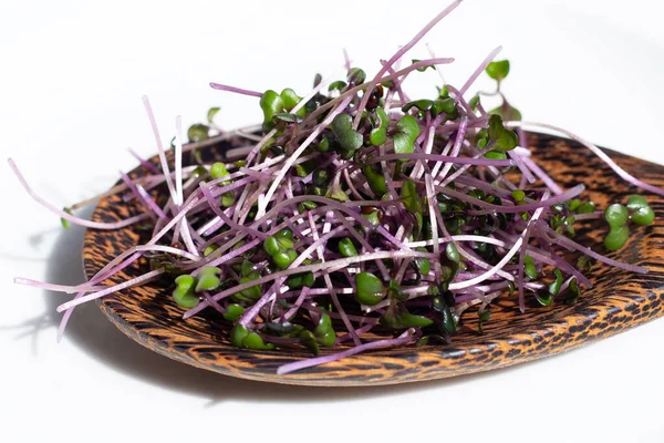 Beyaz arka planda organik kırmızı lahana filizleri.