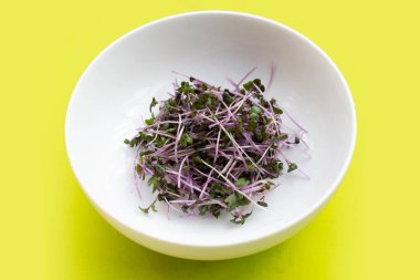 Yeşil arka planda organik kırmızı lahana filizleri.