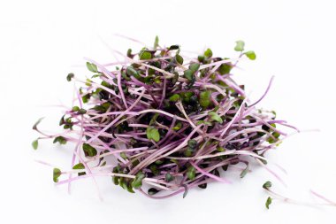 Beyaz arka planda organik kırmızı lahana filizleri.