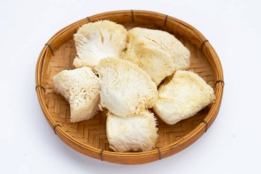 Taze ender bulunan aslan yelesi mantarı