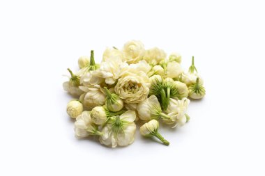 Beyaz arka planda yasemin çiçeği.