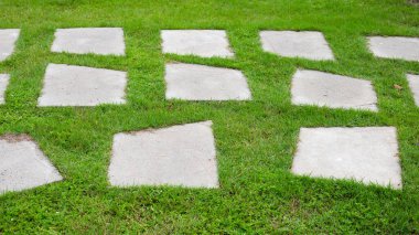 Bahçede yeşil çimenlerin üzerinde taş yol