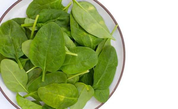 Spinach Leaves Extremely Nutrient Rich Vegetable — Stock Photo, Image