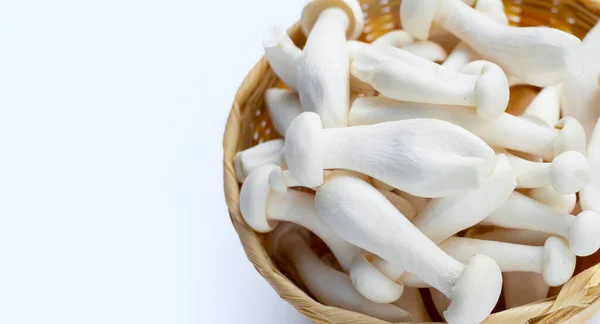 White Beech Mushrooms Shimeji Mushroom Edible Mushroom White Background — Stock Photo, Image